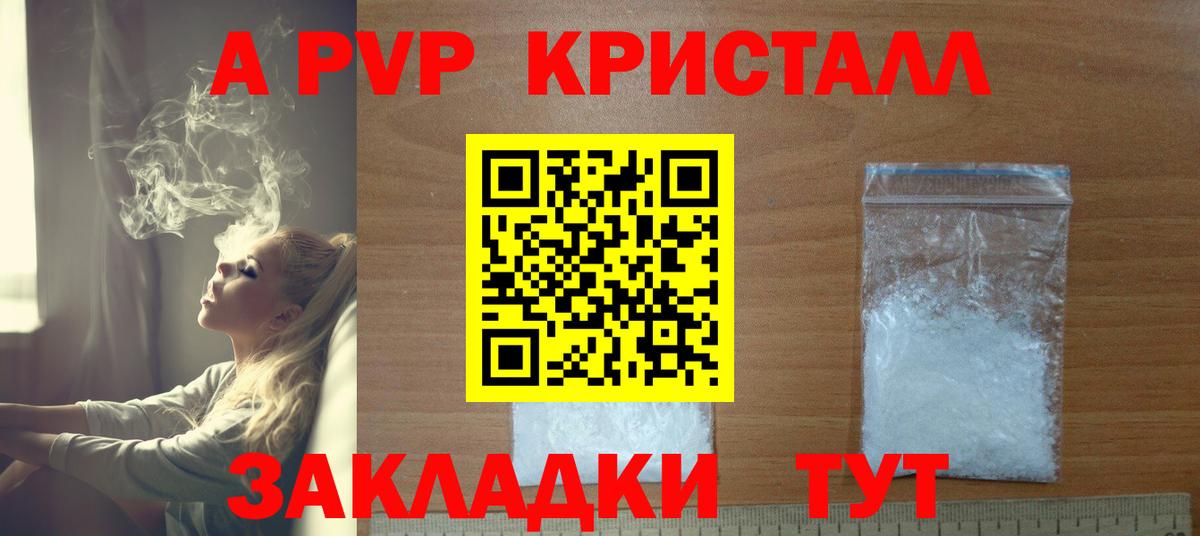 A PVP СК КРИС Тара