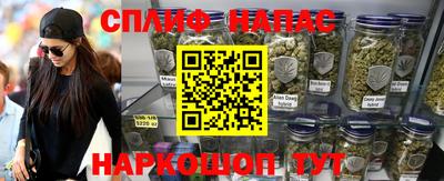 шишки Моздок