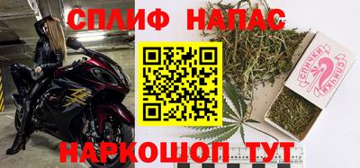 шишки Моздок
