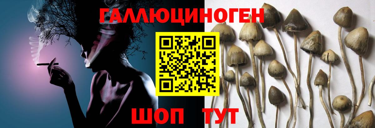Галлюциногенные грибы ЛСД Тара