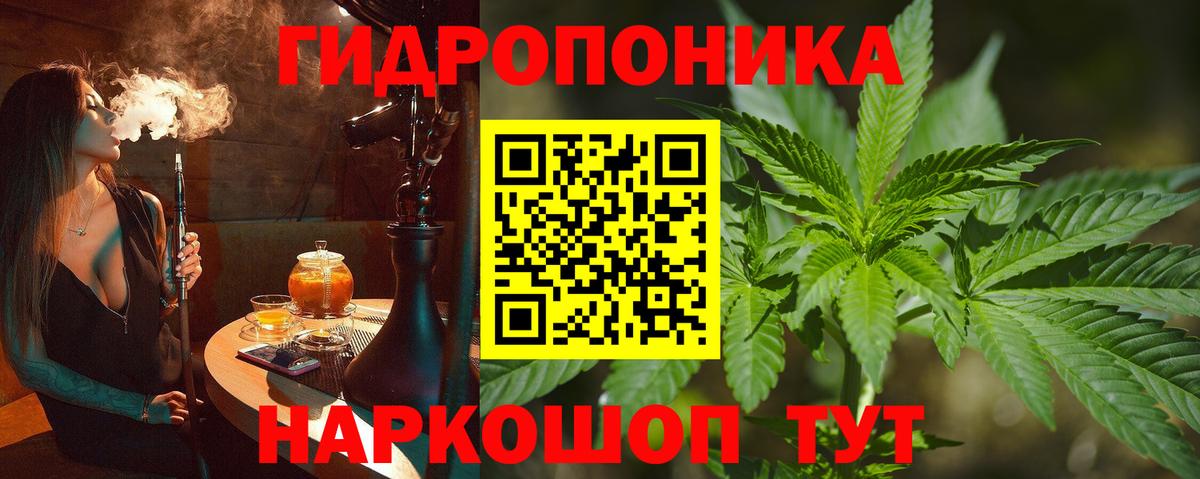 Каннабис сатива Тара